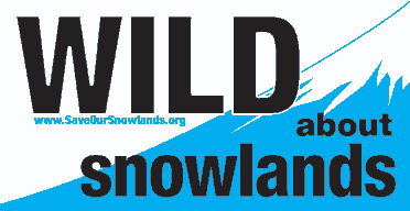 Image of Snowlands Network bumper sticker